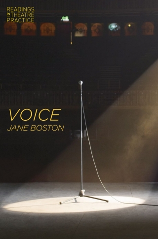Immagine di copertina: Voice 1st edition 9781137301956