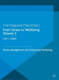 Cover image: From Stress to Wellbeing Volume 2 9780230300583