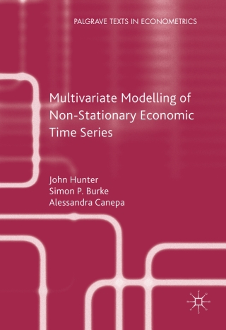 Imagen de portada: Multivariate Modelling of Non-Stationary Economic Time Series 2nd edition 9780230243309