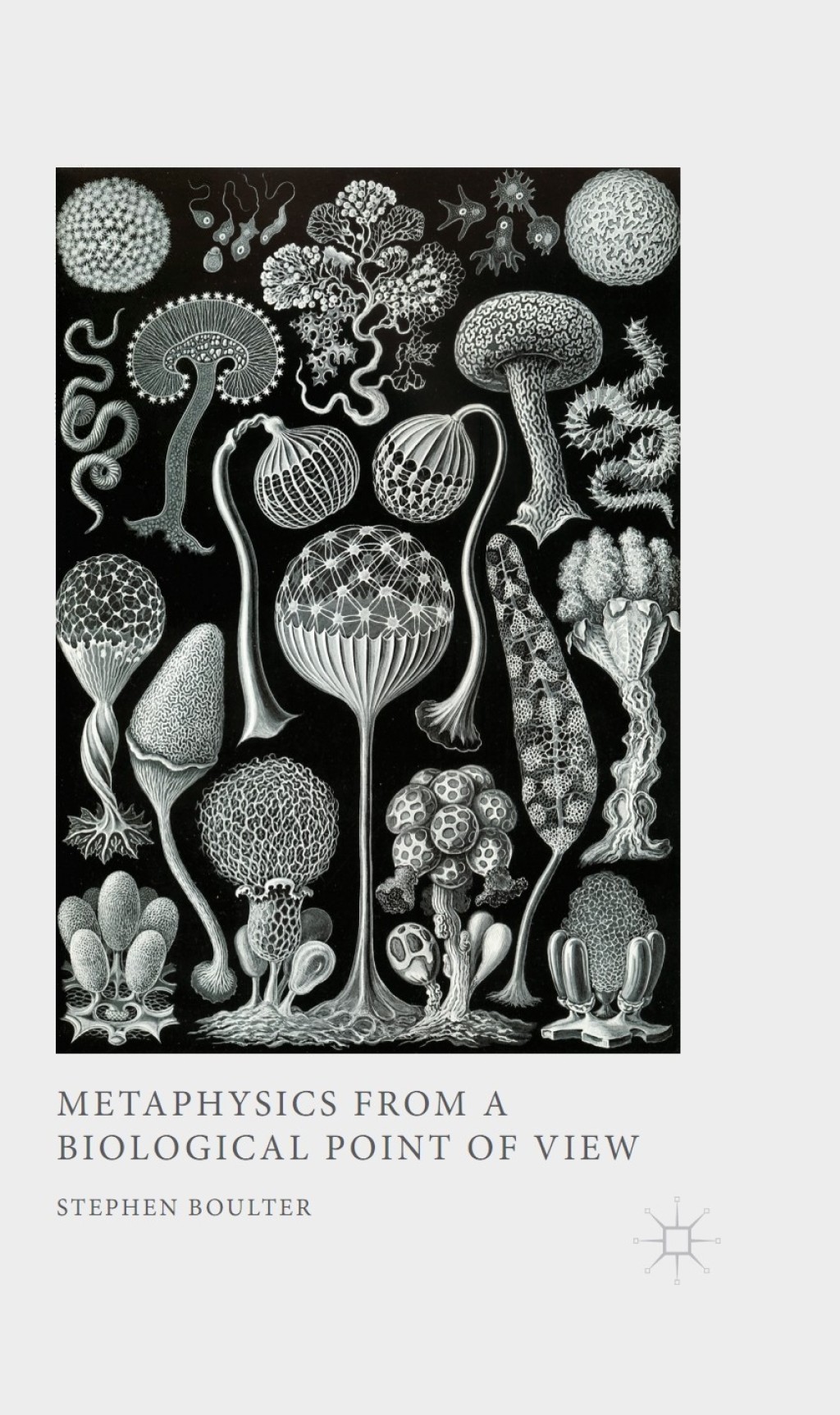 Metaphysics from a Biological Point of View