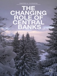 Omslagafbeelding: The Changing Role of Central Banks 9781137336279