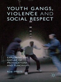 Titelbild: Youth Gangs, Violence and Social Respect 9781137333841