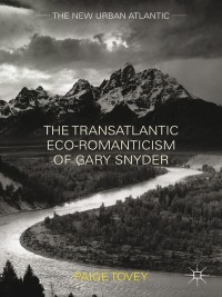 表紙画像: The Transatlantic Eco-Romanticism of Gary Snyder 9781137340146