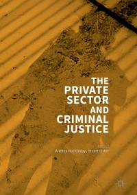 Imagen de portada: The Private Sector and Criminal Justice 9781137370631