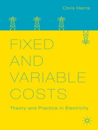 Titelbild: Fixed and Variable Costs 9781137384799