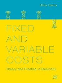 Imagen de portada: Fixed and Variable Costs 9781137384799