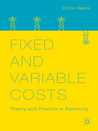 Cover image: Fixed and Variable Costs 9781137384799