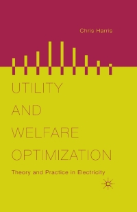 Titelbild: Utility and Welfare Optimization 9781137384805
