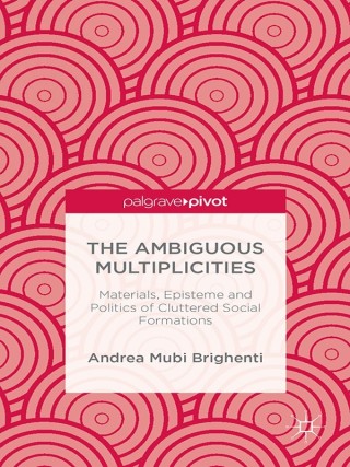 Cover image: The Ambiguous Multiplicities 9781137384980