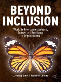 Cover image: Beyond Inclusion 9781137385413