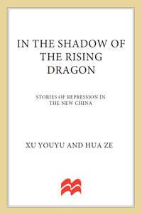 Cover image: In the Shadow of the Rising Dragon 9781137278791