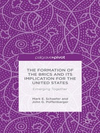 Cover image: The Formation of the BRICS and its Implication for the United States 9781137395641