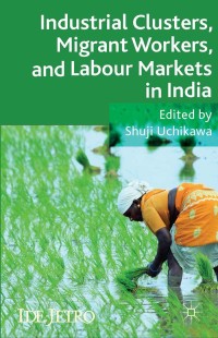 Omslagafbeelding: Industrial Clusters, Migrant Workers, and Labour Markets in India 9781137408761