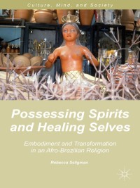 Cover image: Possessing Spirits and Healing Selves 9781137409591