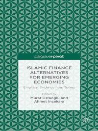 Omslagafbeelding: Islamic Finance Alternatives for Emerging Economies 9781349489909