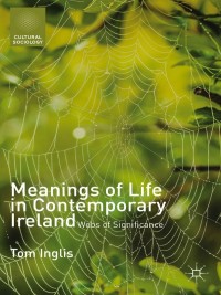 Omslagafbeelding: Meanings of Life in Contemporary Ireland 9781137429124