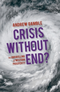 Imagen de portada: Crisis Without End? 1st edition 9780230367074