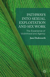 Cover image: Pathways into Sexual Exploitation and Sex Work 9781137431752