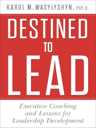 Cover image: Destined to Lead 9781137357762