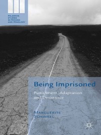 Cover image: Being Imprisoned 9781137440822