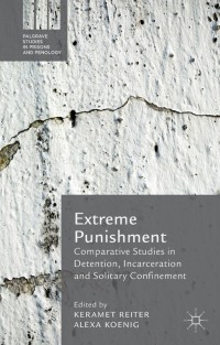 Cover image: Extreme Punishment 9781137441140