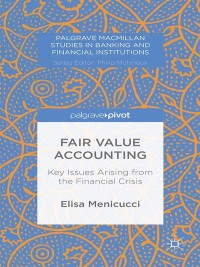 Cover image: Fair Value Accounting 9781349496389
