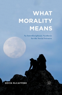 Cover image: What Morality Means 9781137449283