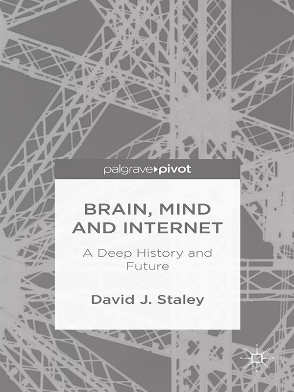 Brain, Mind and Internet A Deep History and Future