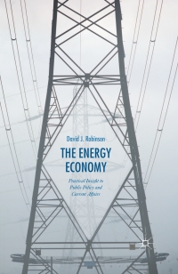 Cover image: The Energy Economy 9781137471697
