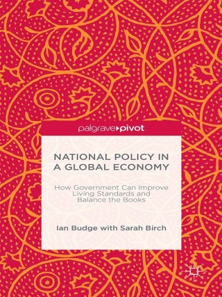 صورة الغلاف: National Policy in a Global Economy 9781137473042