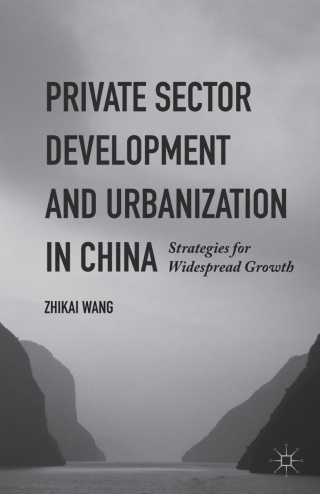 Immagine di copertina: Private Sector Development and Urbanization in China 9781137473264