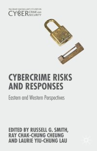 Imagen de portada: Cybercrime Risks and Responses 9781349557882