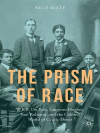 Cover image: The Prism of Race 9781137484093
