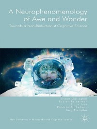 Cover image: A Neurophenomenology of Awe and Wonder 9781137496041