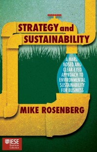 صورة الغلاف: Strategy and Sustainability 9781137501738