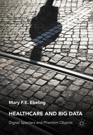 表紙画像: Healthcare and Big Data 9781137502209