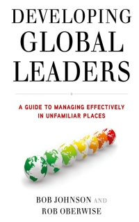 Cover image: Developing Global Leaders 9780230337510