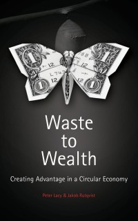 Cover image: Waste to Wealth 9781137530684