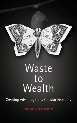 Imagen de portada: Waste to Wealth 9781137530684