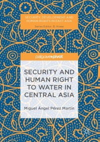 صورة الغلاف: Security and Human Right to Water in Central Asia 9781137540041