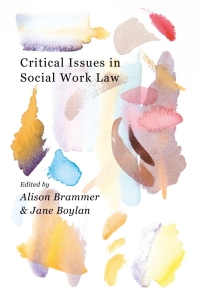 Cover image: Critical Issues in Social Work Law 1st edition 9781137541505