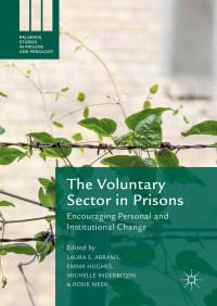 Imagen de portada: The Voluntary Sector in Prisons 9781137542144