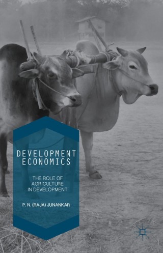 Cover image: Development Economics 9781137555212