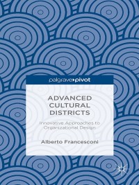 Cover image: Advanced Cultural Districts 9781137555342