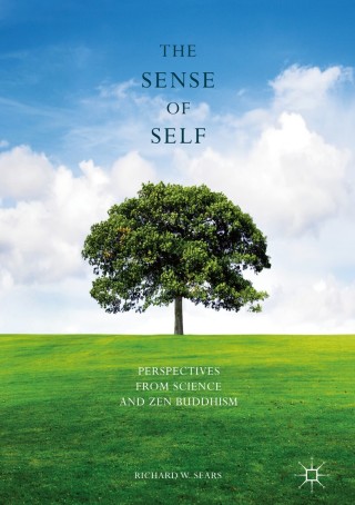 Imagen de portada: The Sense of Self 9781137563705