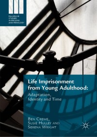 Titelbild: Life Imprisonment from Young Adulthood 9781137566003