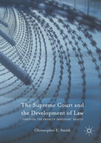 Imagen de portada: The Supreme Court and the Development of Law 9781137567628