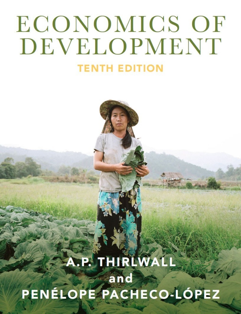 Economics of Development Theory and Evidence 10th Edition