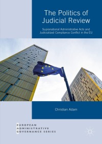 Cover image: The Politics of Judicial Review 9781137578310