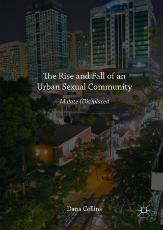 Titelbild: The Rise and Fall of an Urban Sexual Community 9781137579607